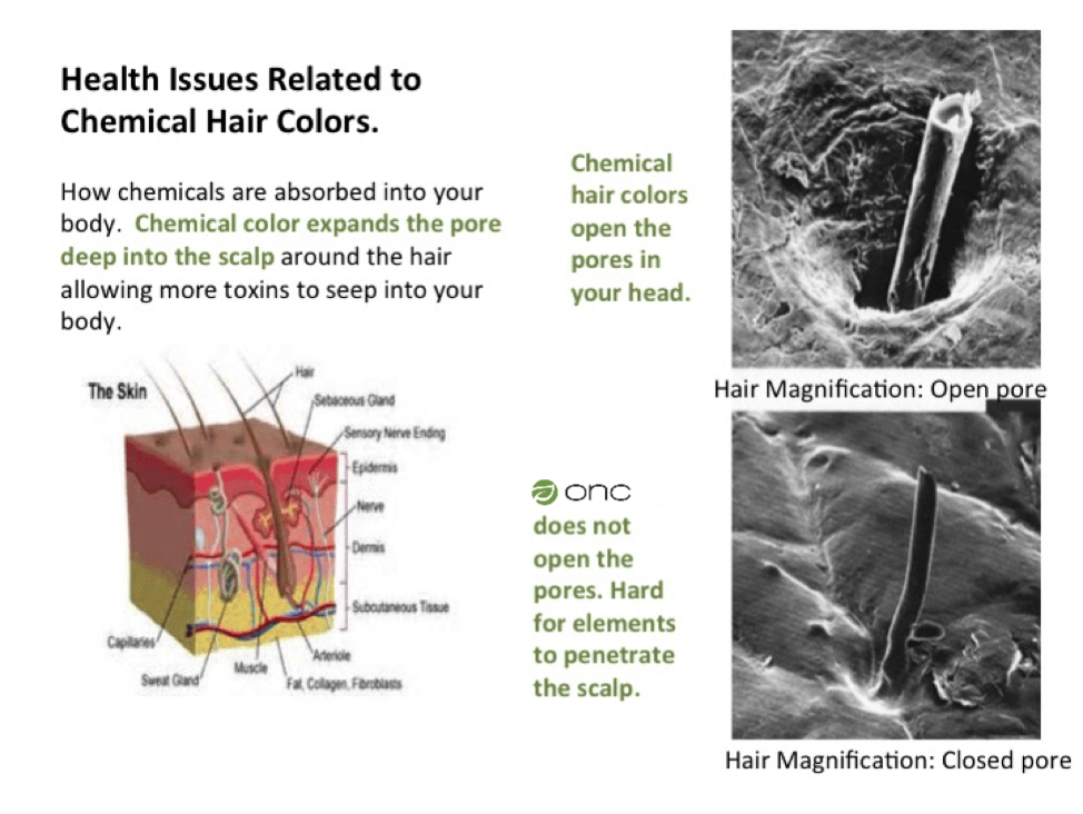 Diagram to show health issues related to chemical hair colors.